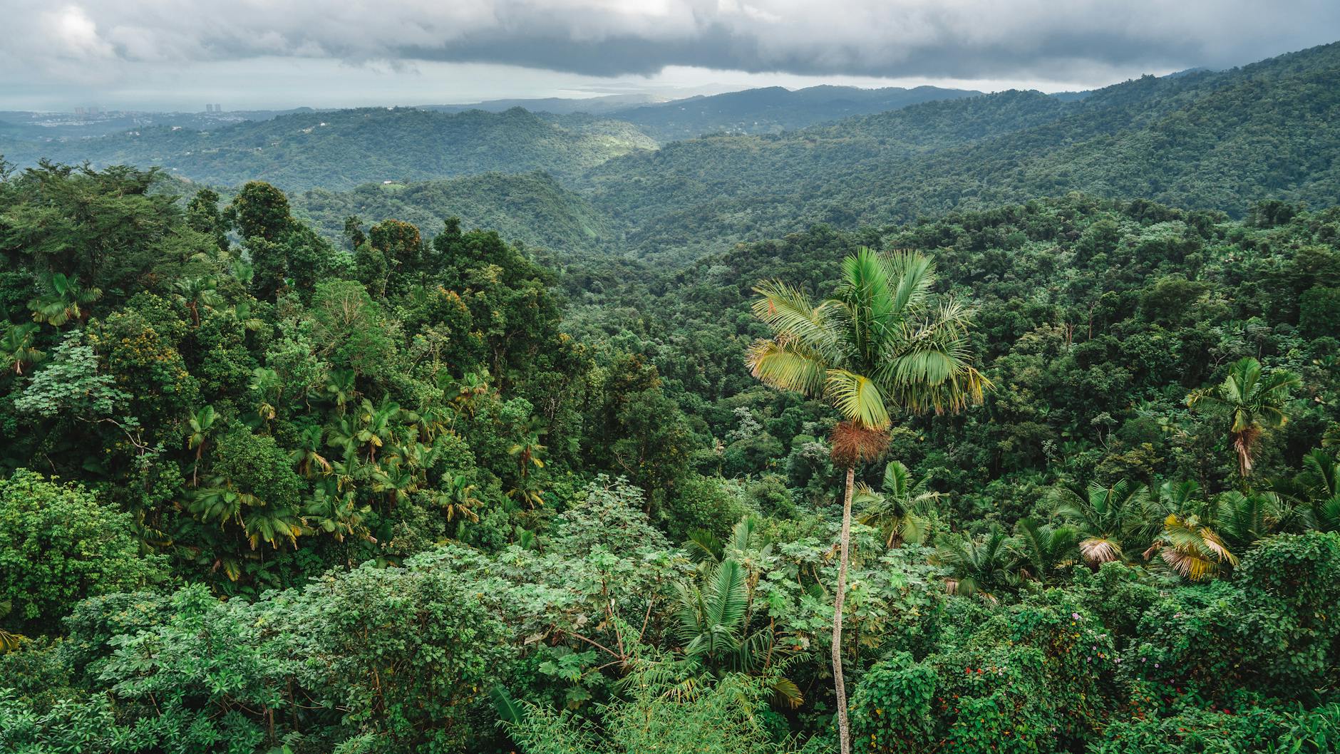 Guyana — landmark