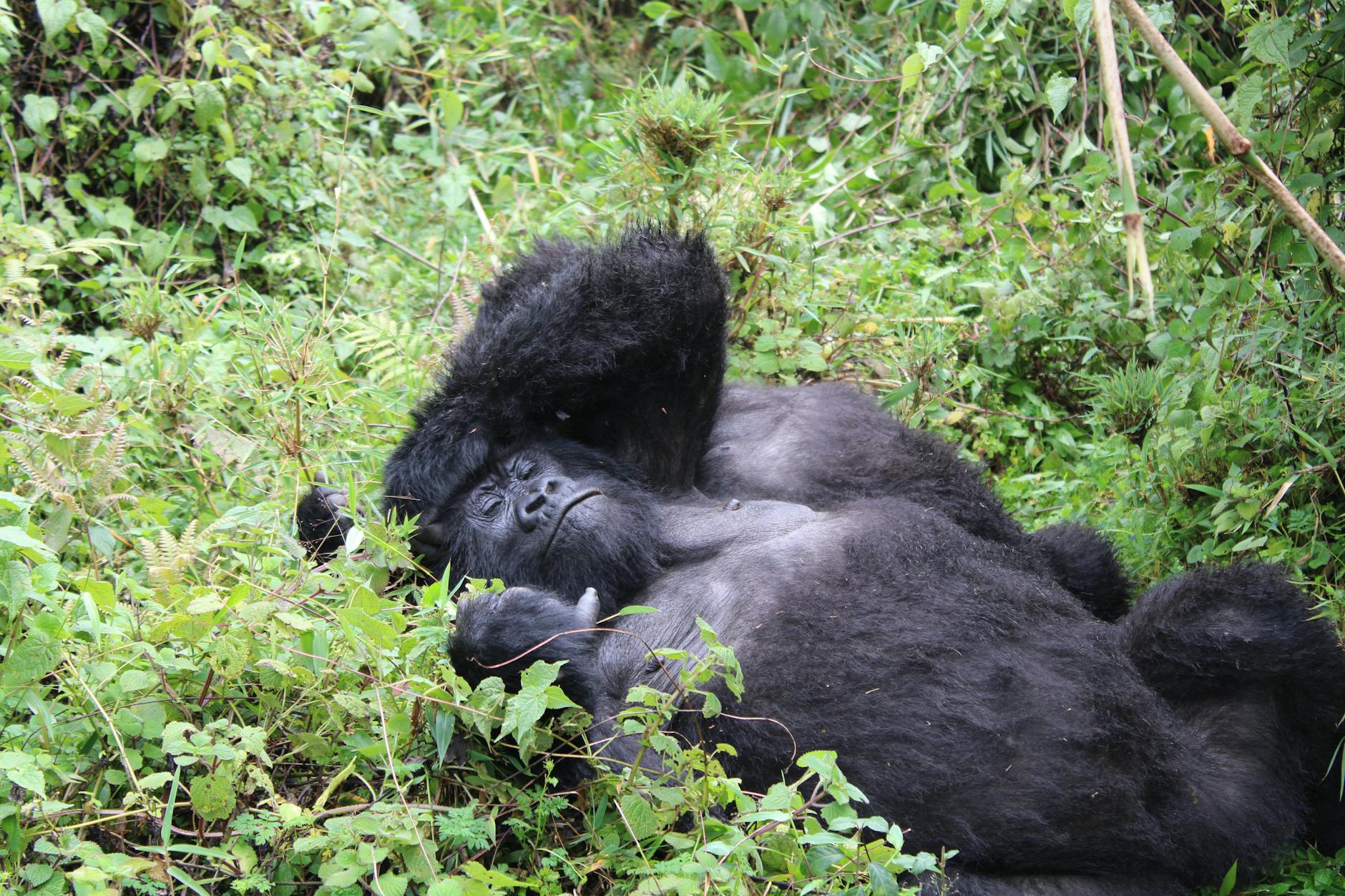 Uganda — landmark